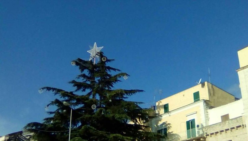 L'allestimento dell'albero di Natale in piazza Bovio
