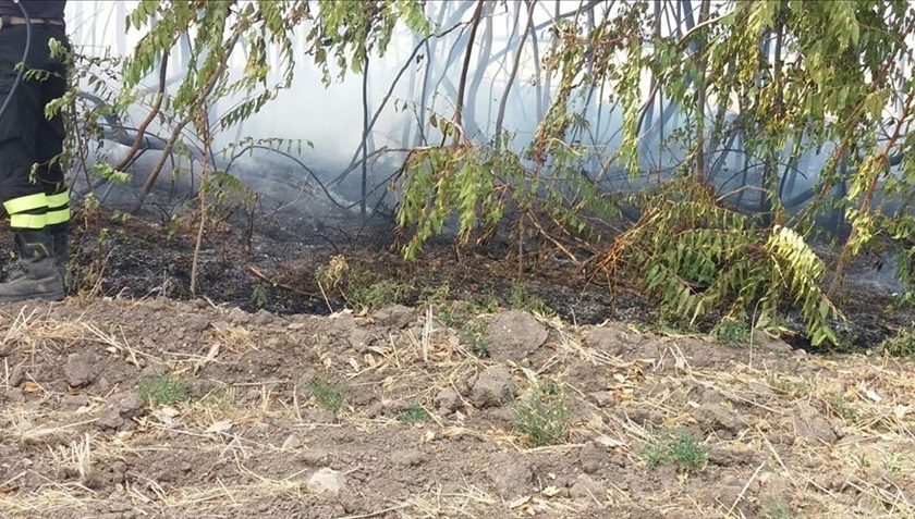 Incendio sulla provinciale per Altamura