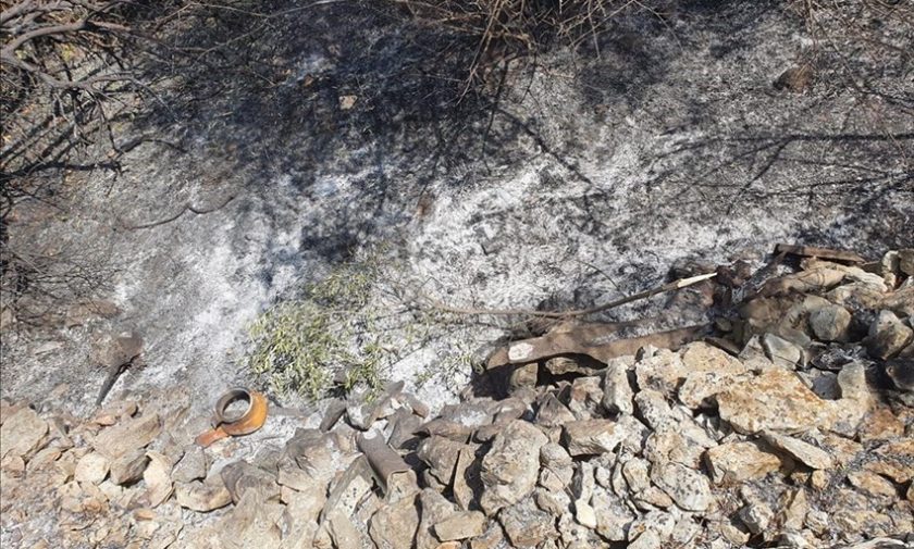 Campo e giardino devastati dalle fiamme alla periferia di Ruvo di Puglia: la denuncia