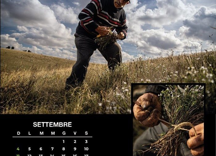 Il Calendario del Parco Alta Murgia