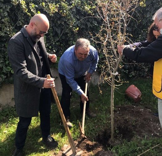 Piantumati 14 alberi da frutto alla Bovio e in tre scuole d'infanzia: un dono di Maria Dina Losappio