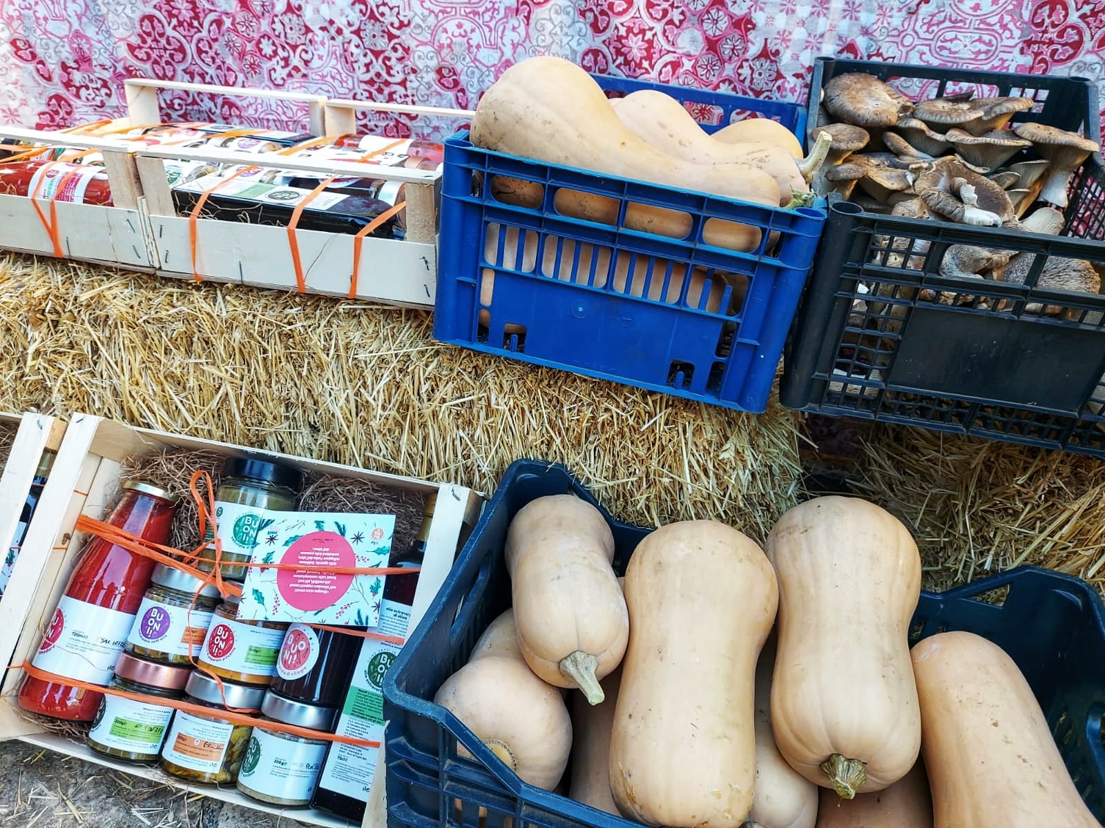 “L’Agrifood sociale e solidale in piazza”, il programma