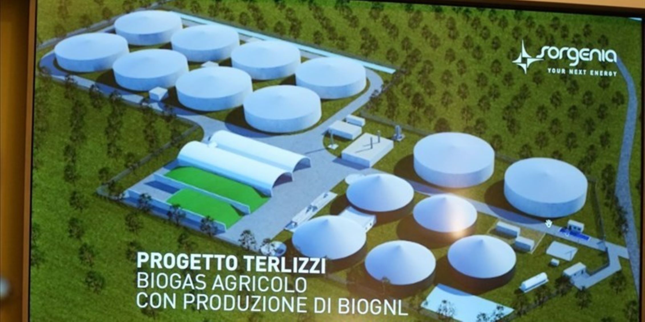 Impianto biogas Sorgenia, Bucci (Op Oliveti Terra di Bari): «Abbiamo ragione noi»