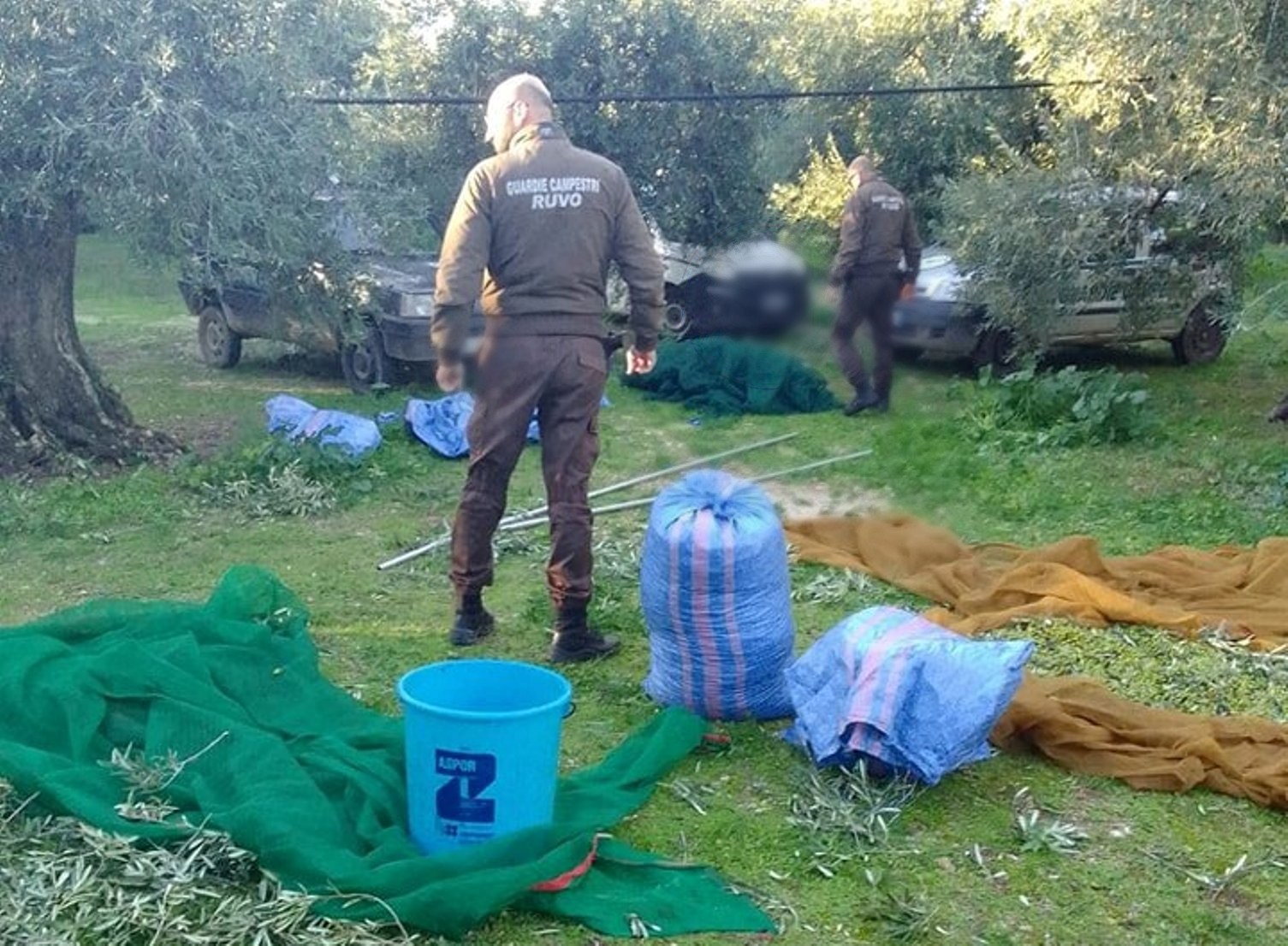 Sempre preoccupante il fenomeno dei furti nelle campagne pugliesi