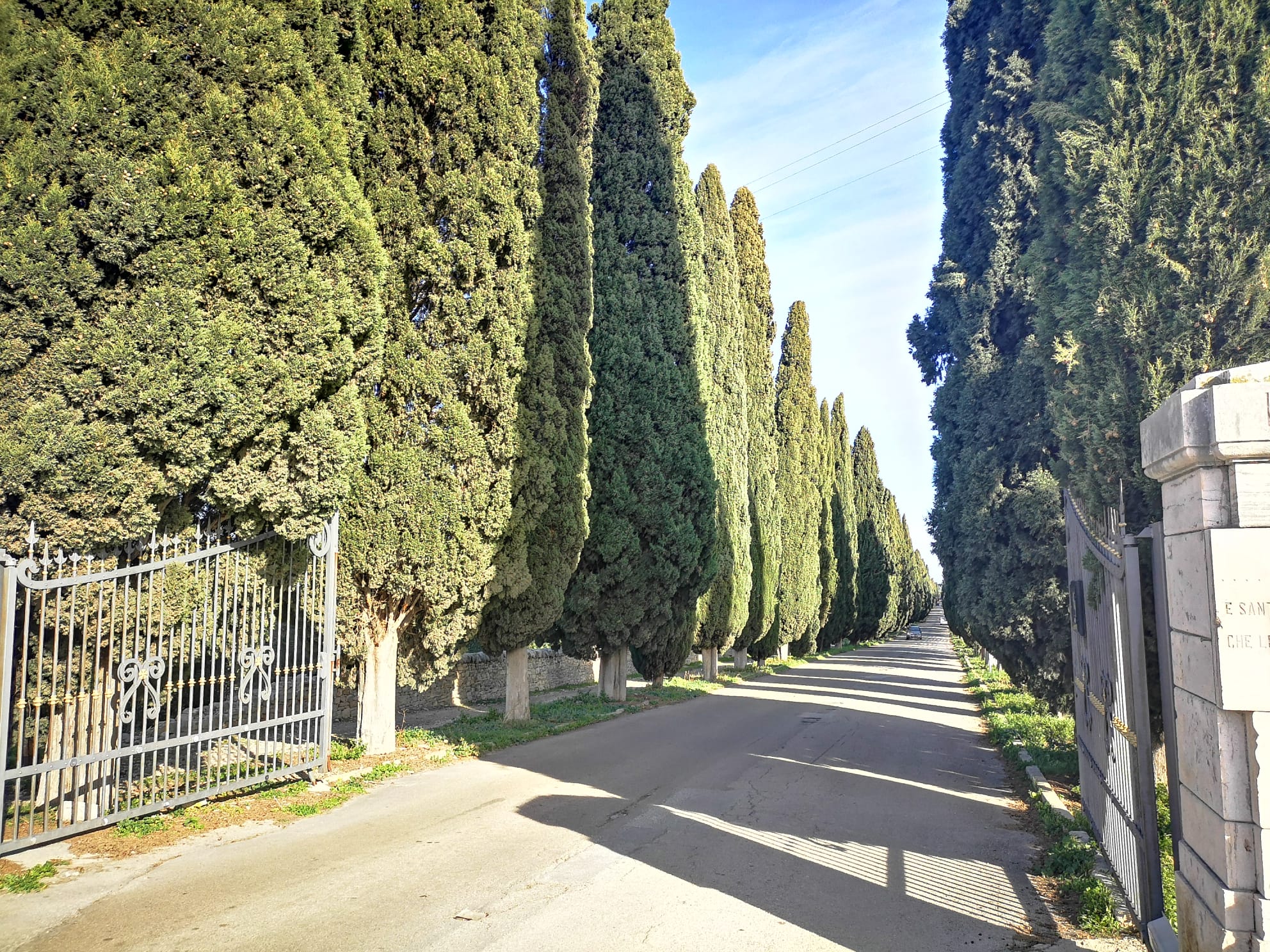 Confabulare Open Air 2026, il primo incontro al Cimitero monumentale