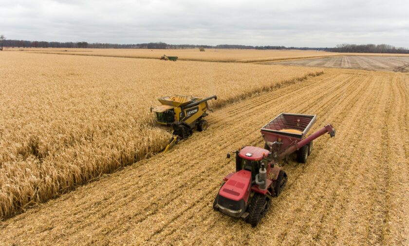 campo di grano e trattori