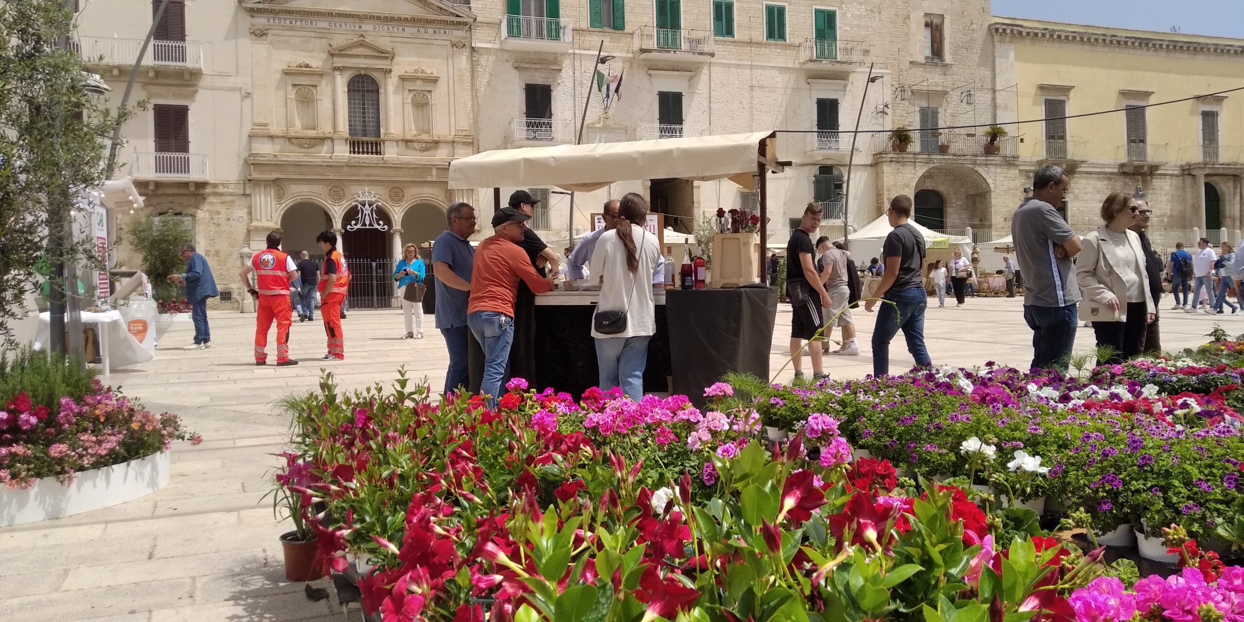 Rose e Rosati, settima edizione tra pioggia e sole