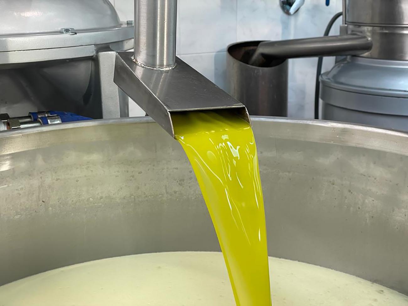Olio: cresce import da Tunisia con prezzi fino anche a 2,29 €/kg. Coldiretti: «È concorrenza sleale»