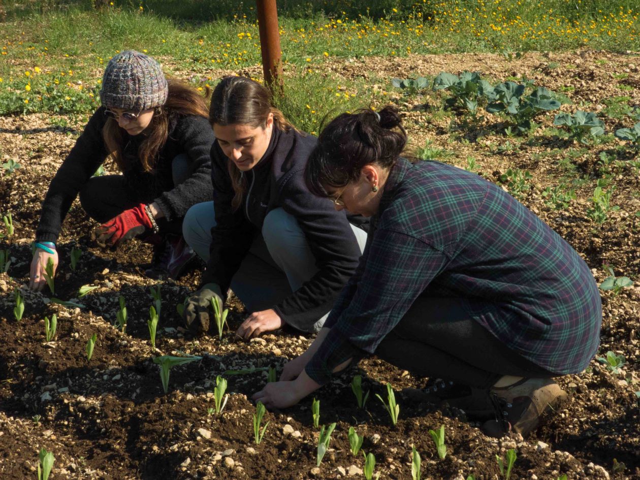 Festa di strada “Piantagrane!” con la csa La Ràkene: il programma
