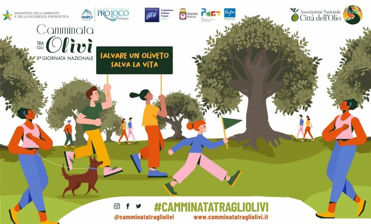 Camminata tra gli olivi a Ruvo di Puglia, il programma