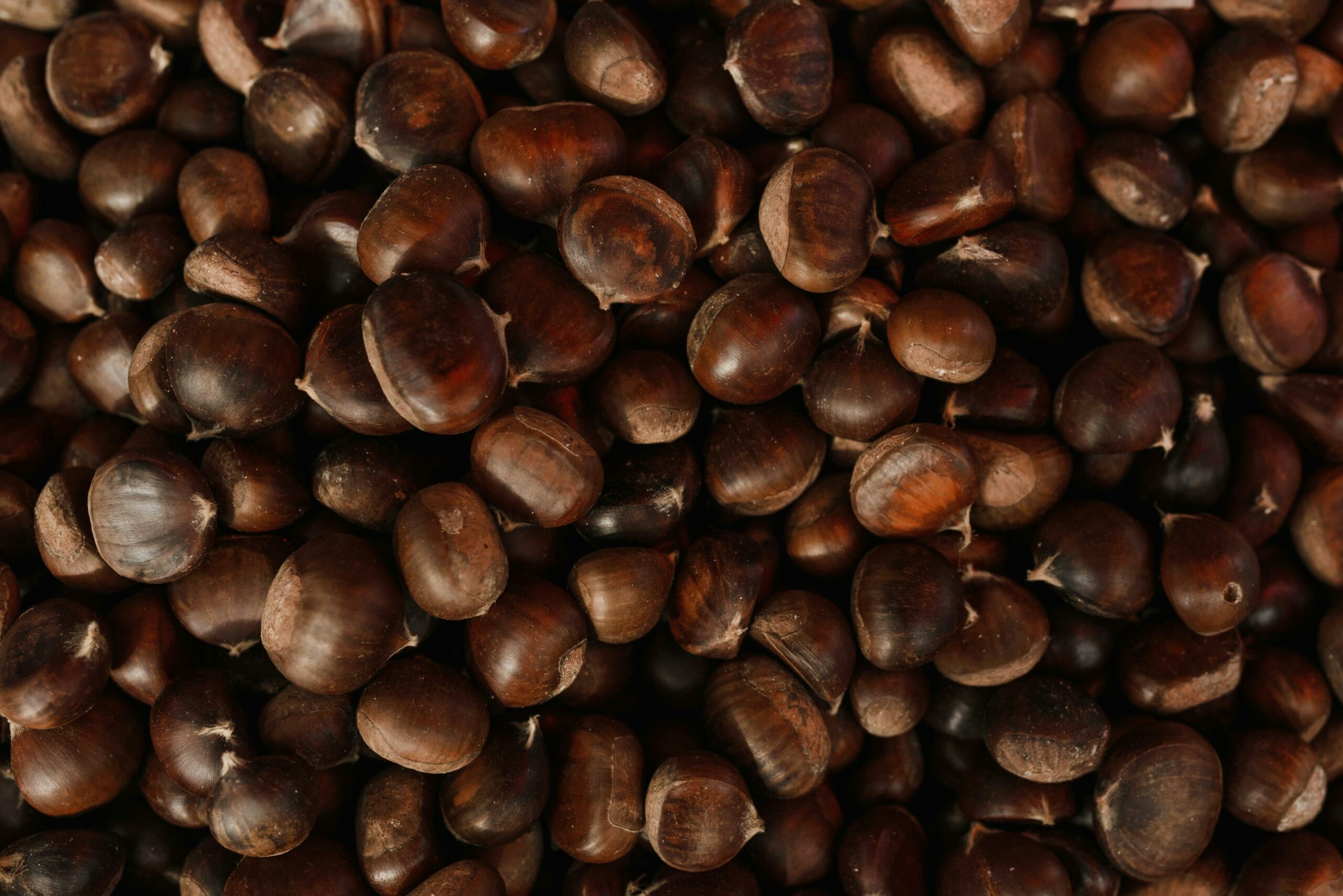 Castagne, in Puglia stimato crollo di produzione fino al 90%