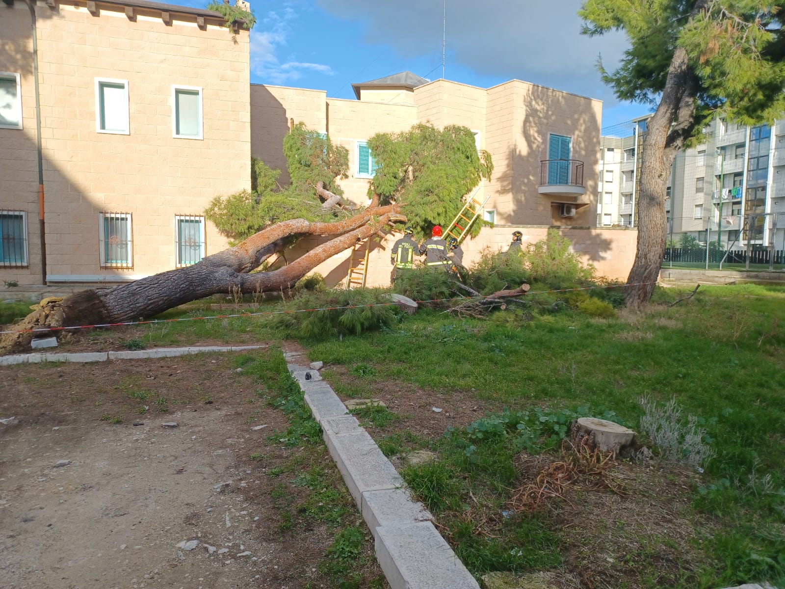 Vento forte, un albero si abbatte nei pressi della parrocchia Santa Lucia