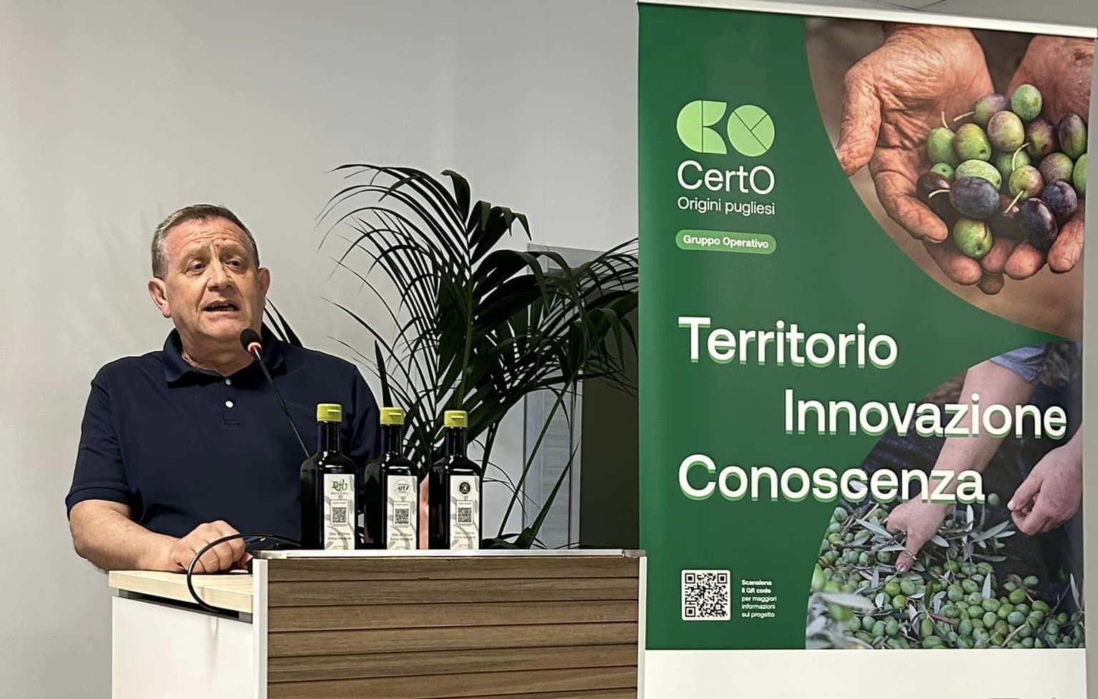Olivi espiantati per il fotovoltaico, Benedetto Fracchiolla: «Così si sradica ciò che ci identifica»