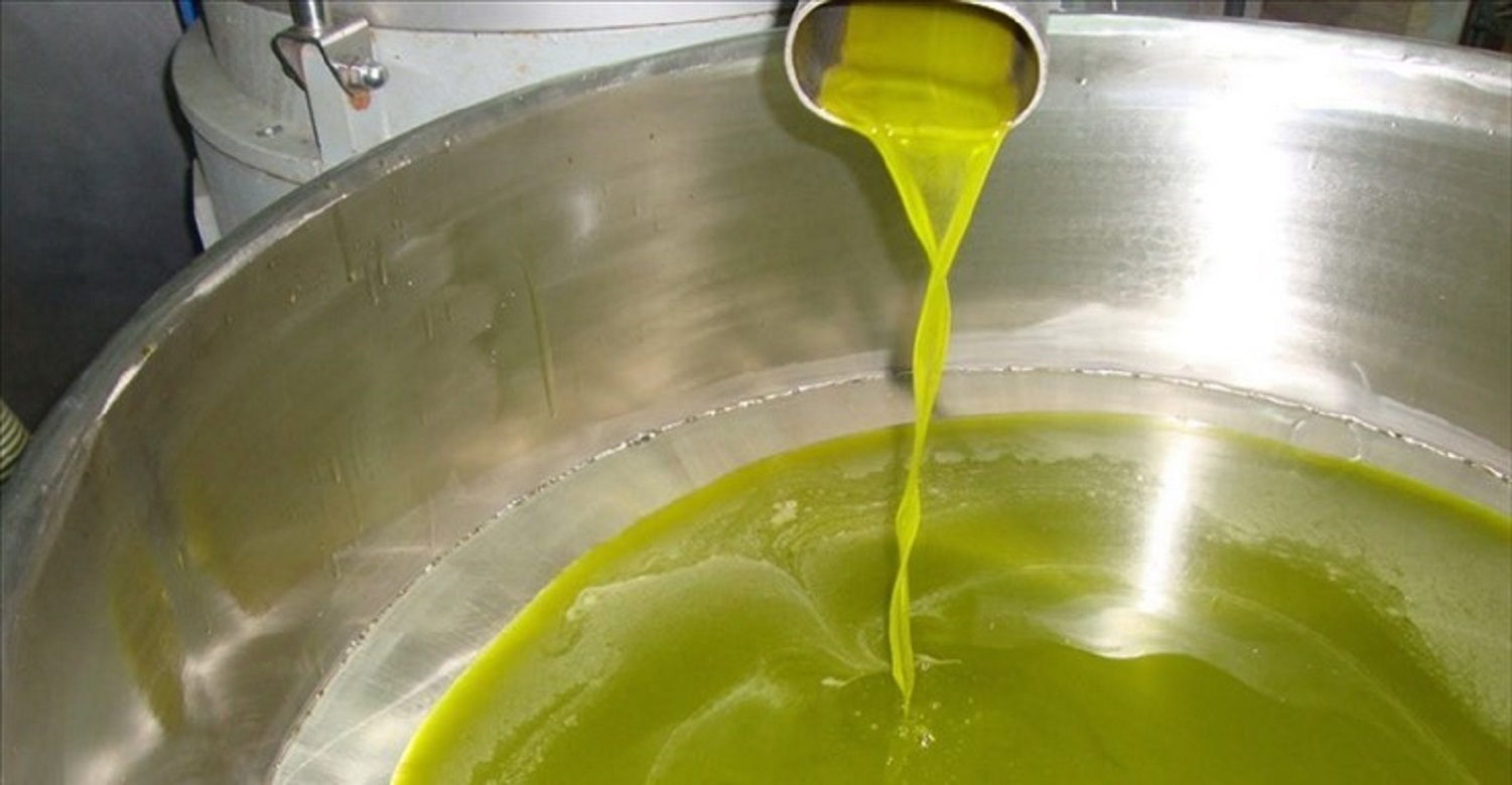 Oliveti Terra di Bari, venti milioni di utili. Produzione arriva a 65 milioni di euro