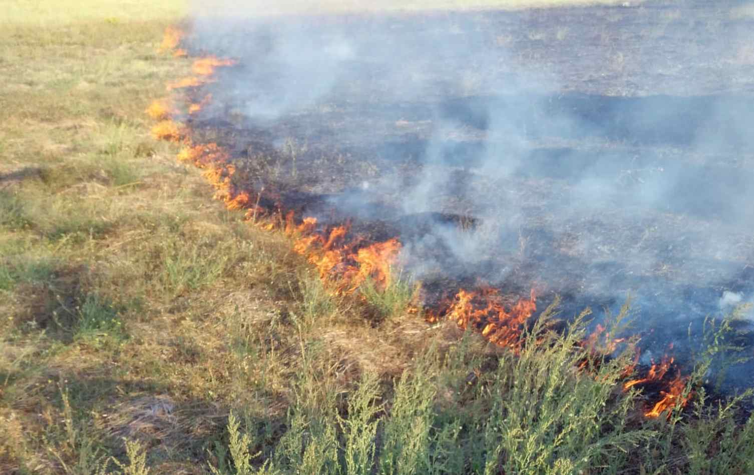 Dichiarato lo stato di grave pericolosità per gli incendi boschivi