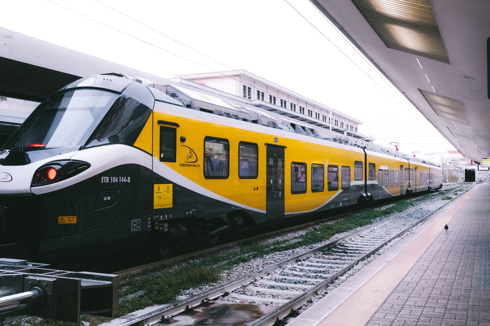 Rissa a bordo del treno in corsa: «Intervengano le istituzioni competenti»