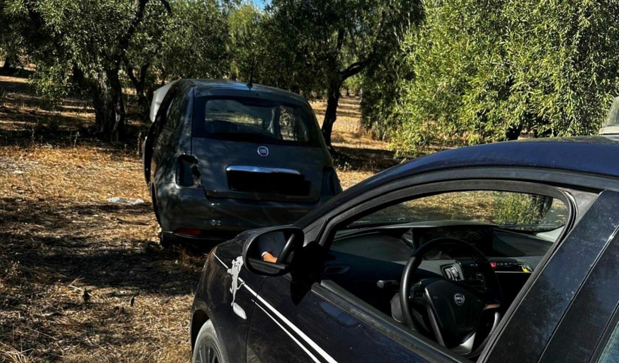 Scoperta nelle campagne auto rubata a Ruvo di Puglia