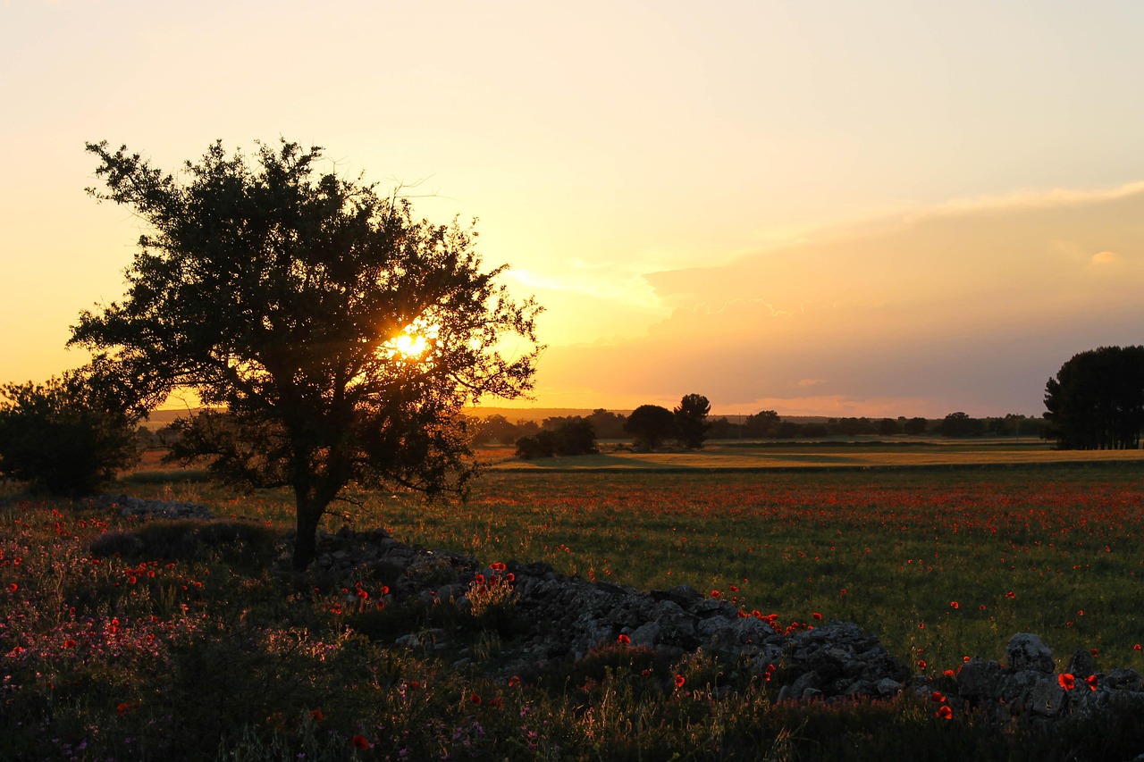 murgia-puglia-apulia-panorama-ruvo-