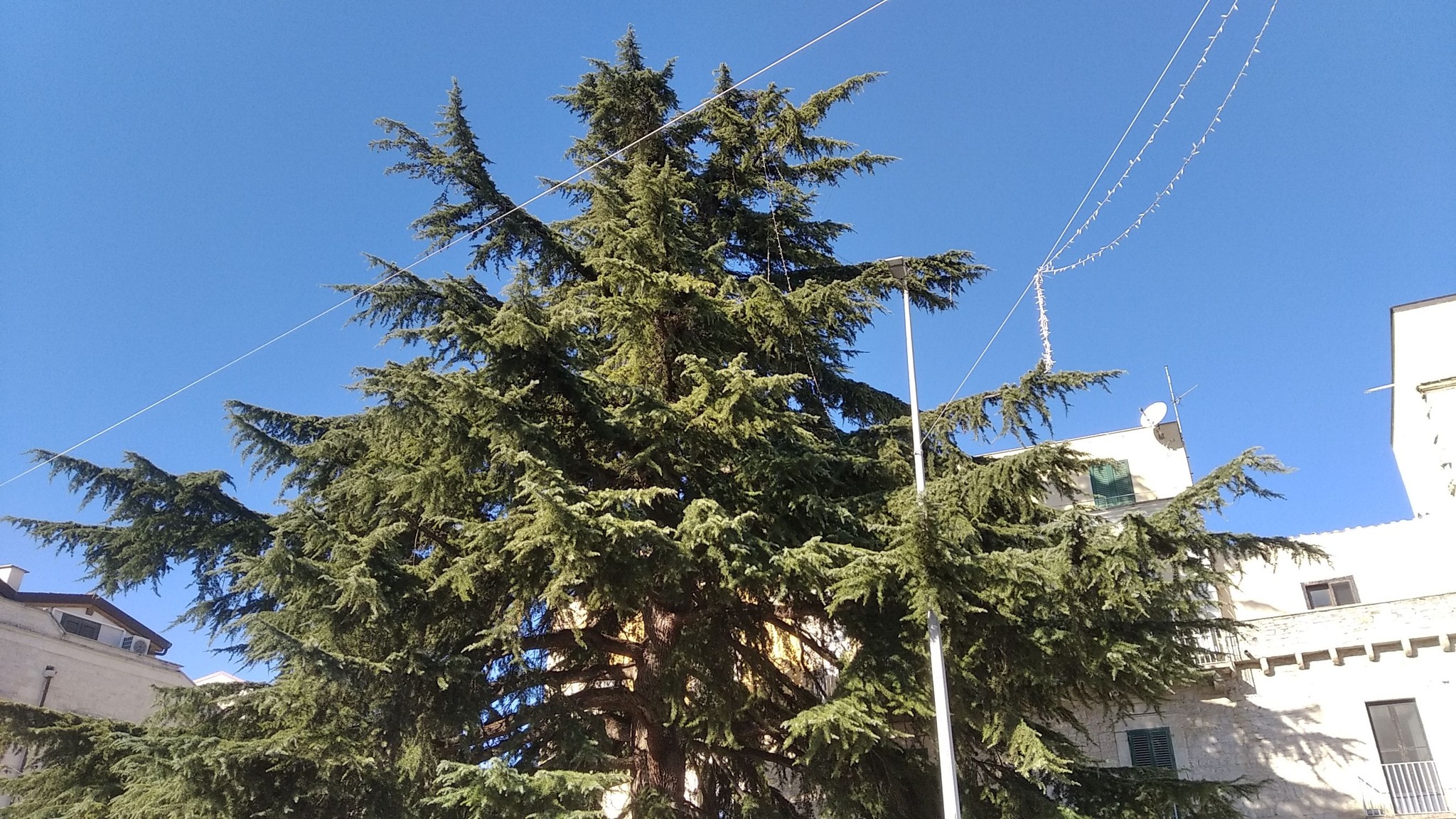 Il 2025 a Ruvo di Puglia: le persone, le notizie, le storie