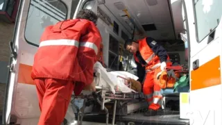 Incidente sulla provinciale, il legale: «Il cavallo non vagava liberamente»