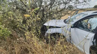 Auto contro un albero, incidente sulla Ruvo-Altamura